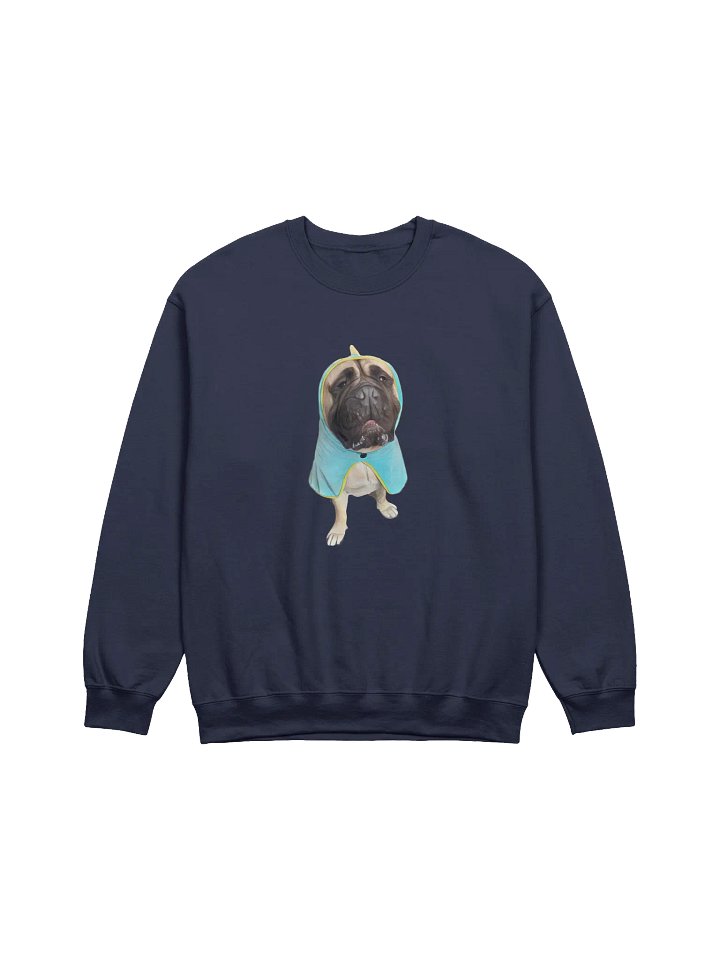 Meech Dino Sweatshirt product image (13)