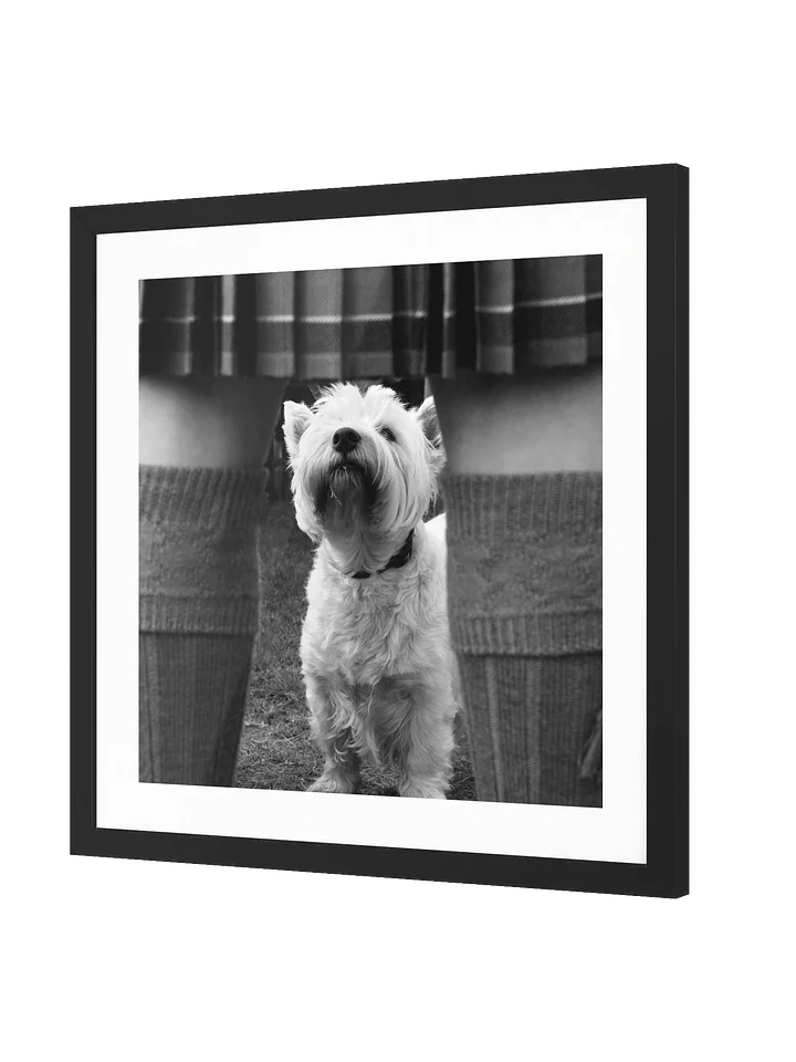 Wee Jock Print 2006 Lonach Games Scotland product image (2)