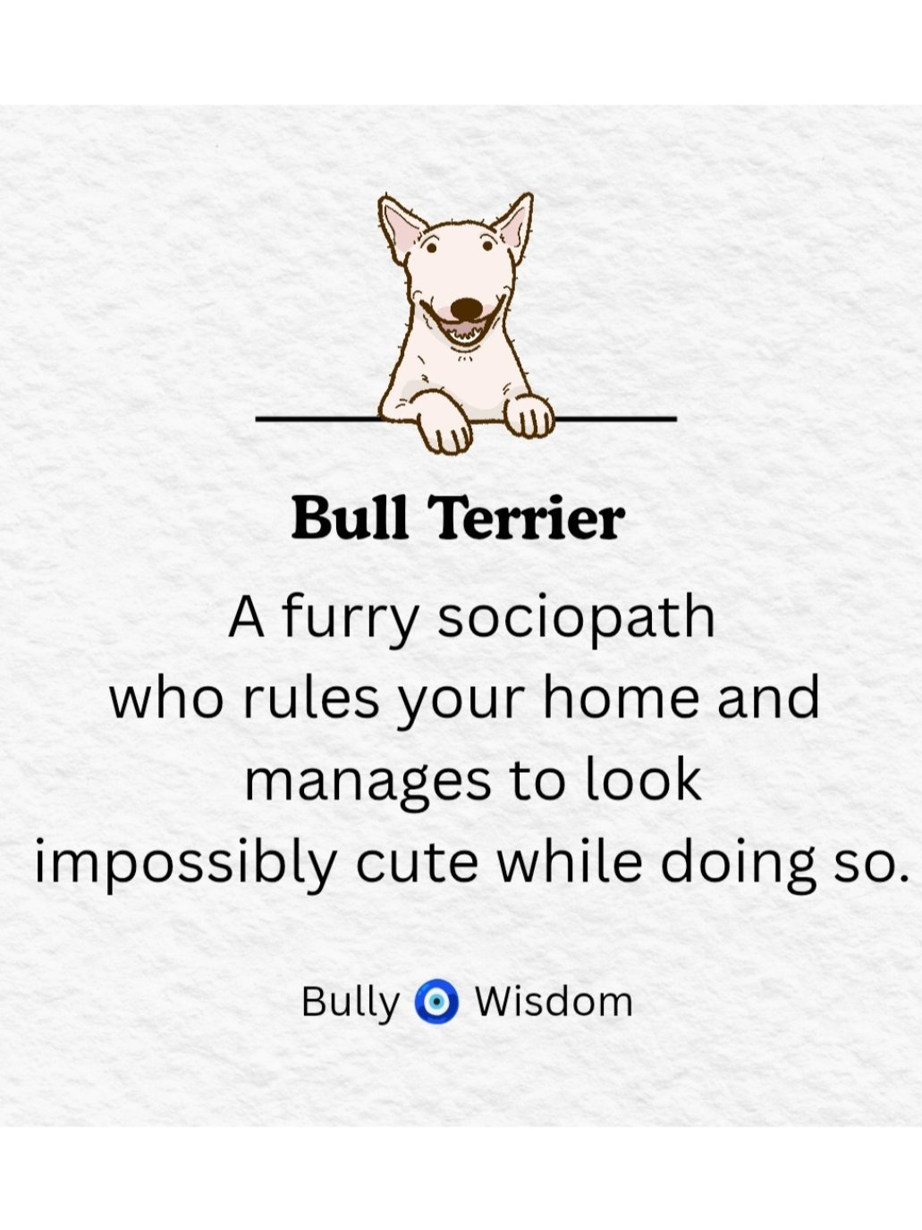 Bull Terrier- Calendar 2026 product image (5)