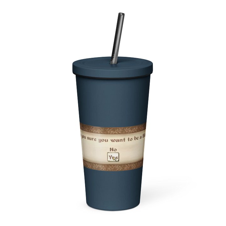 Insulated Tumbler (Are You Sure?) product image (9)