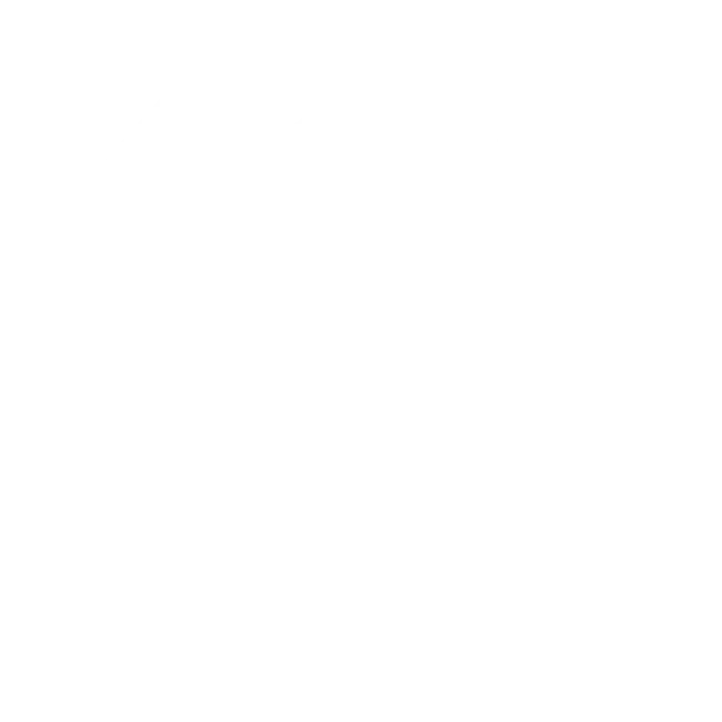 Premium Quality Icon