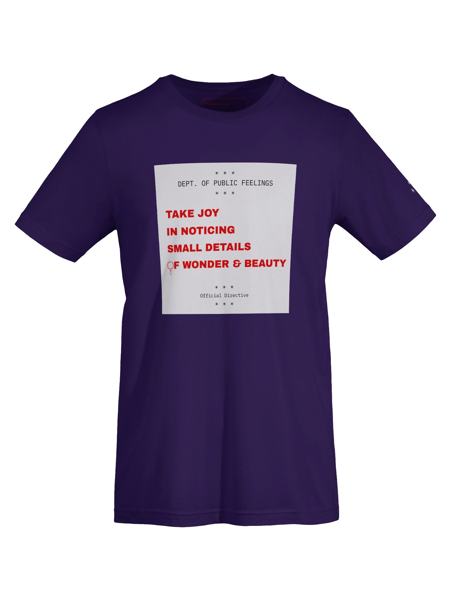 Take Joy in Noticing Small Details of Beauty and Wonder Tee product image (23)