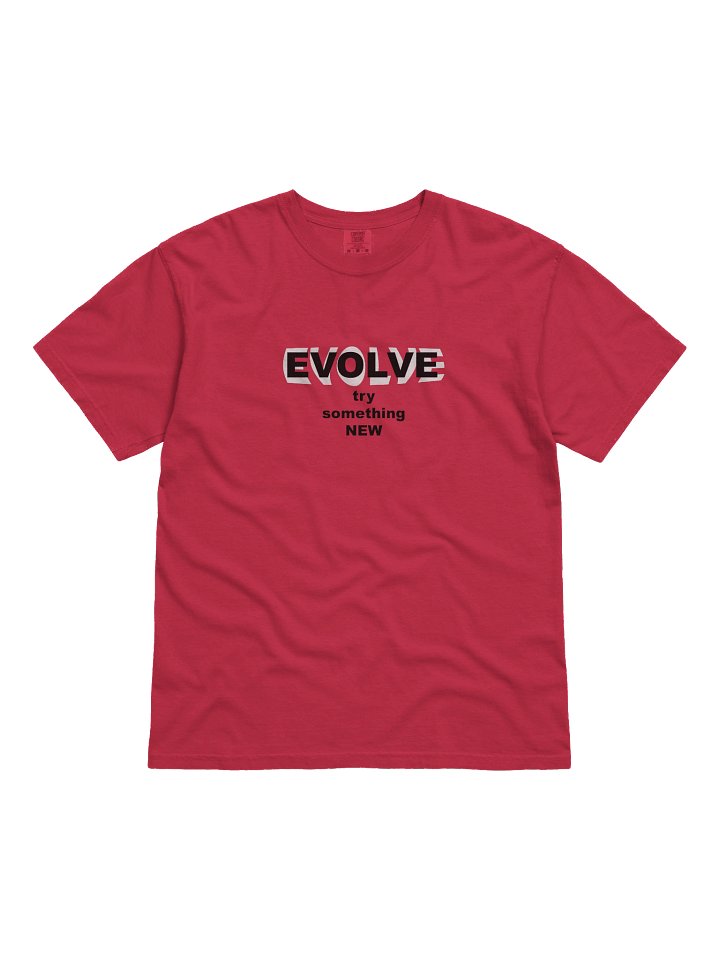 EVOLVE - Garment-Dyed Heavyweight T-Shirt product image (5)