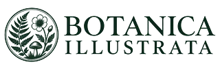 Botanica Illustrata