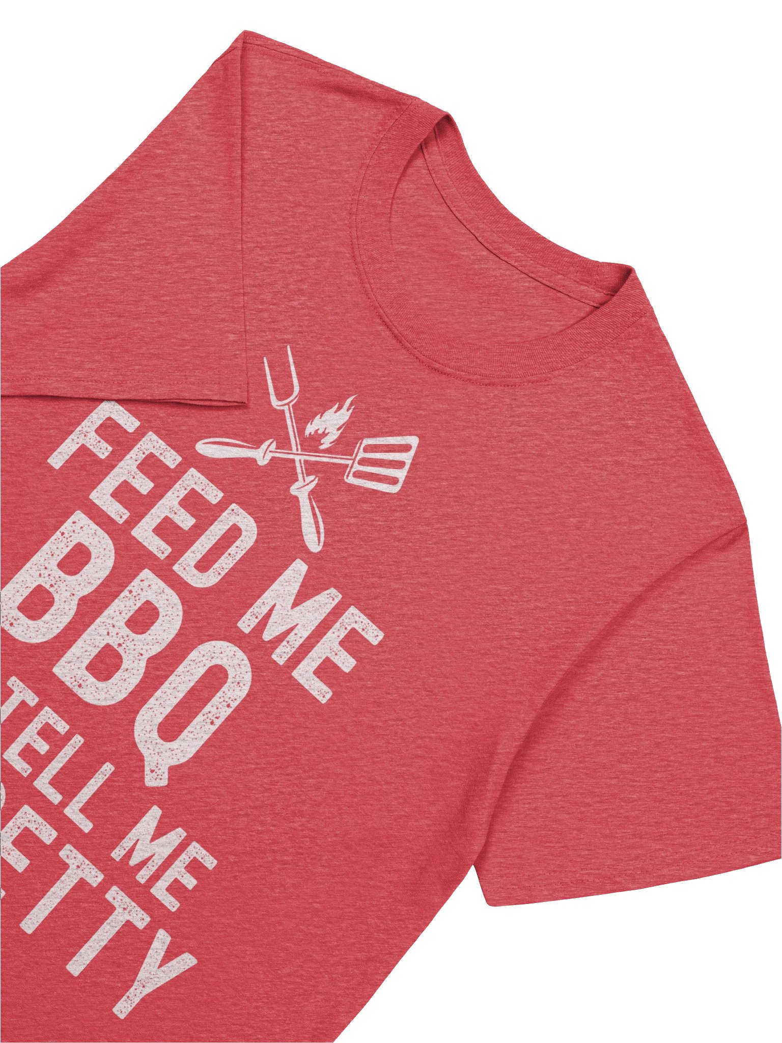 Feed Me BBQ and Tell Me I’m Pretty – Gildan Softstyle Unisex T-Shirt product image (5)