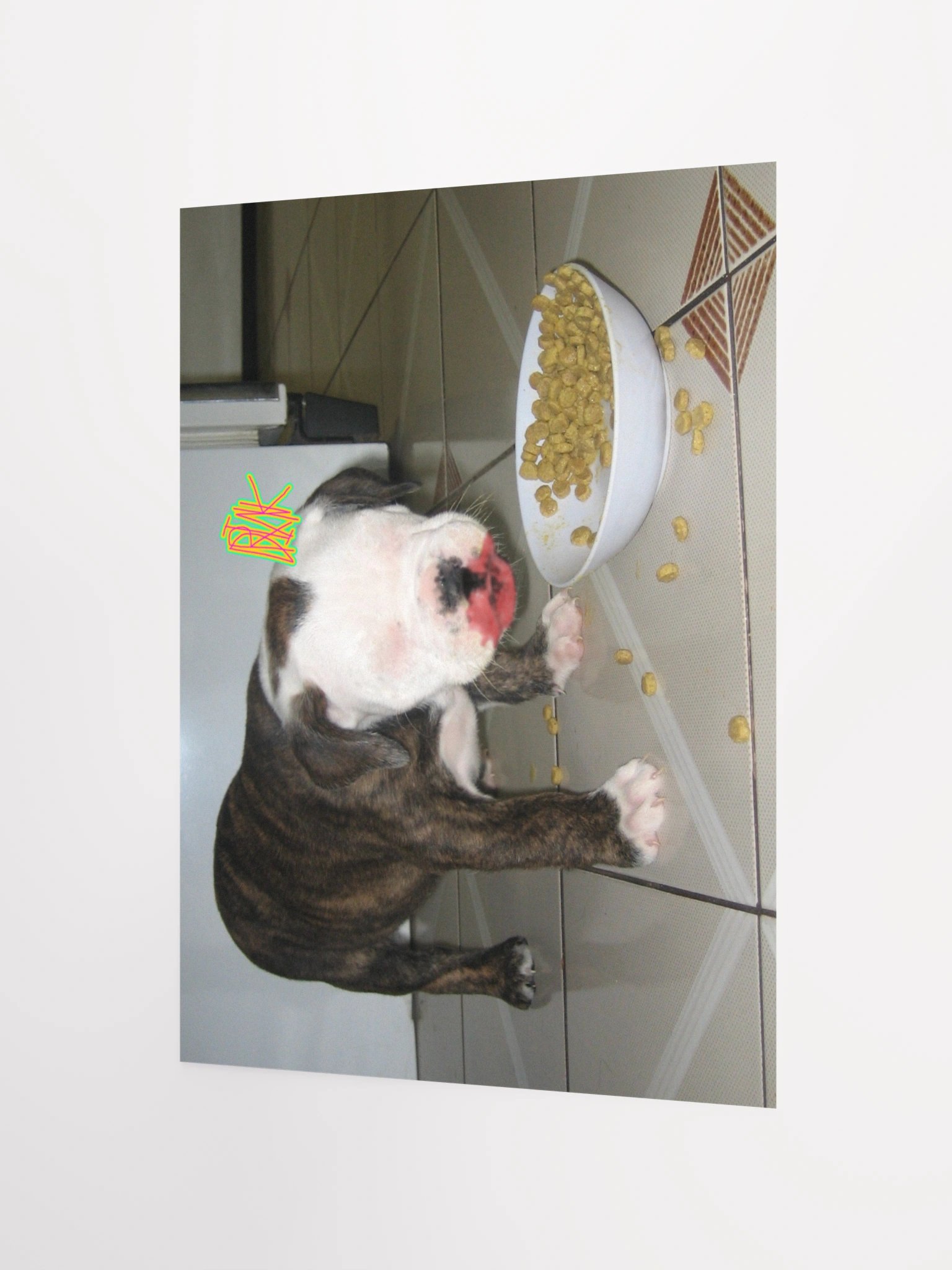 DRINK poster product image (2)