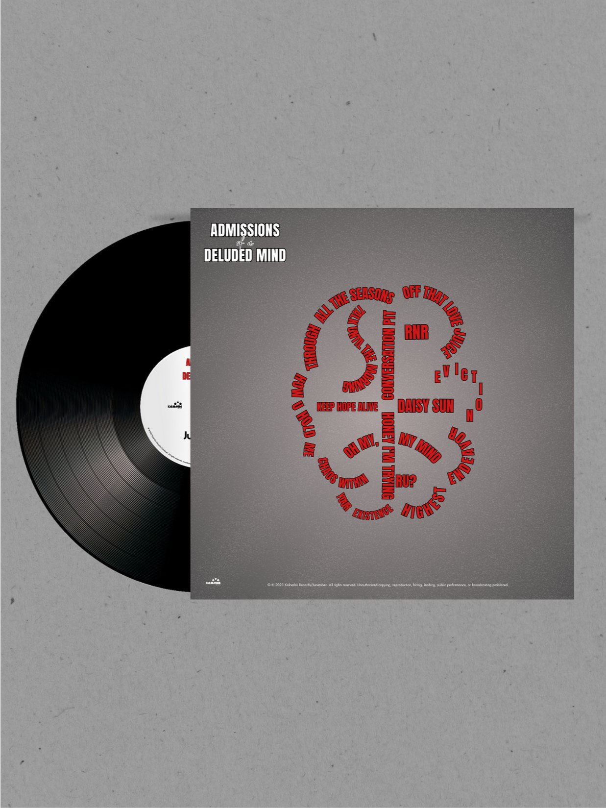 Limited Edition AOADM BUNDLE (VINYL + CD+POSTER) product image (2)