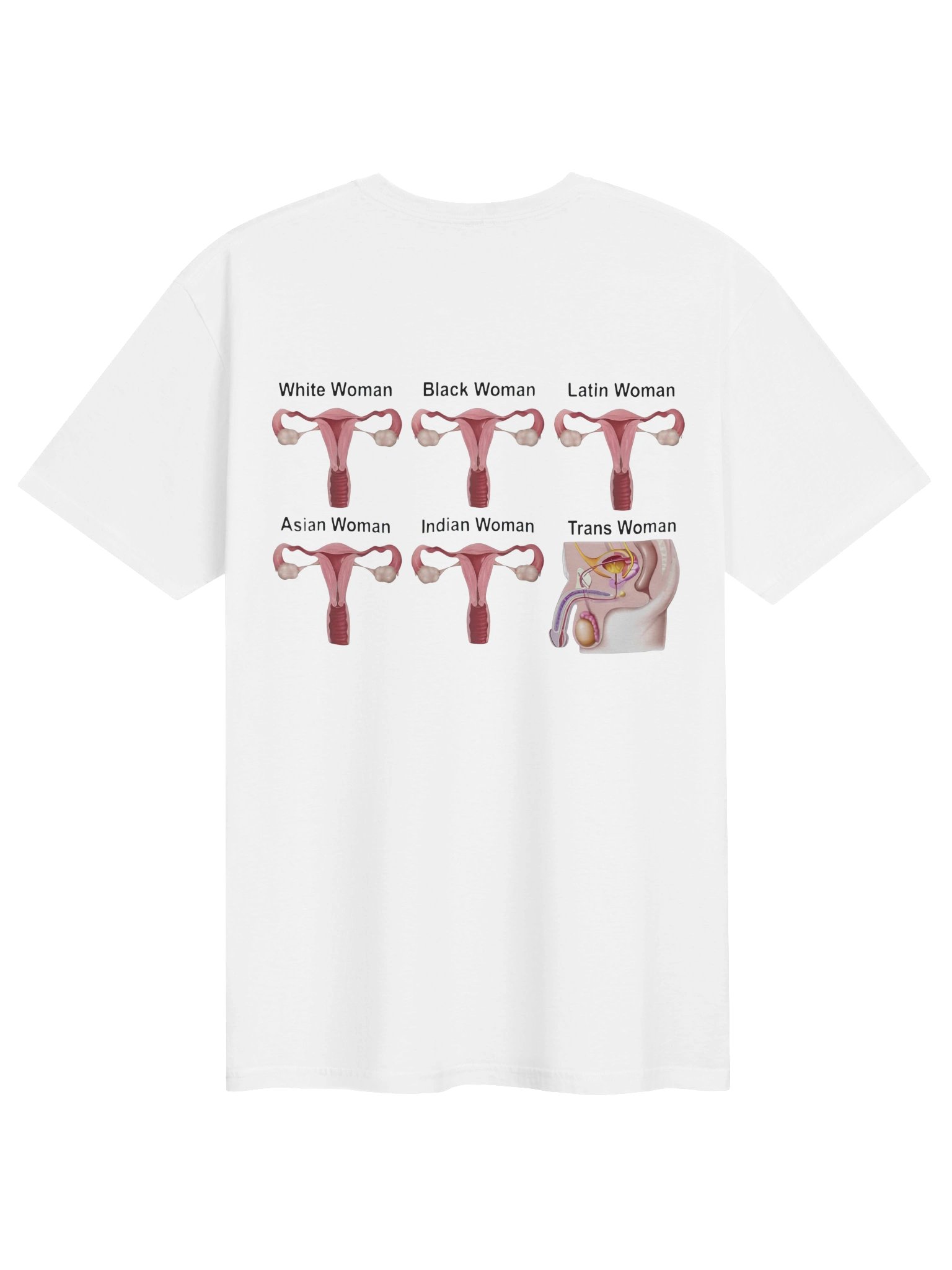 Reproductive System Shirt product image (2)