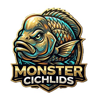 Monster Cichlids
