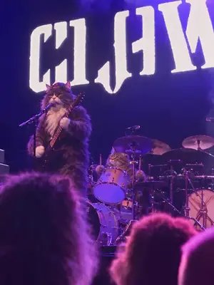 Crowbar in cat universe #catsandmetal #crowbar #kirkwindstein 