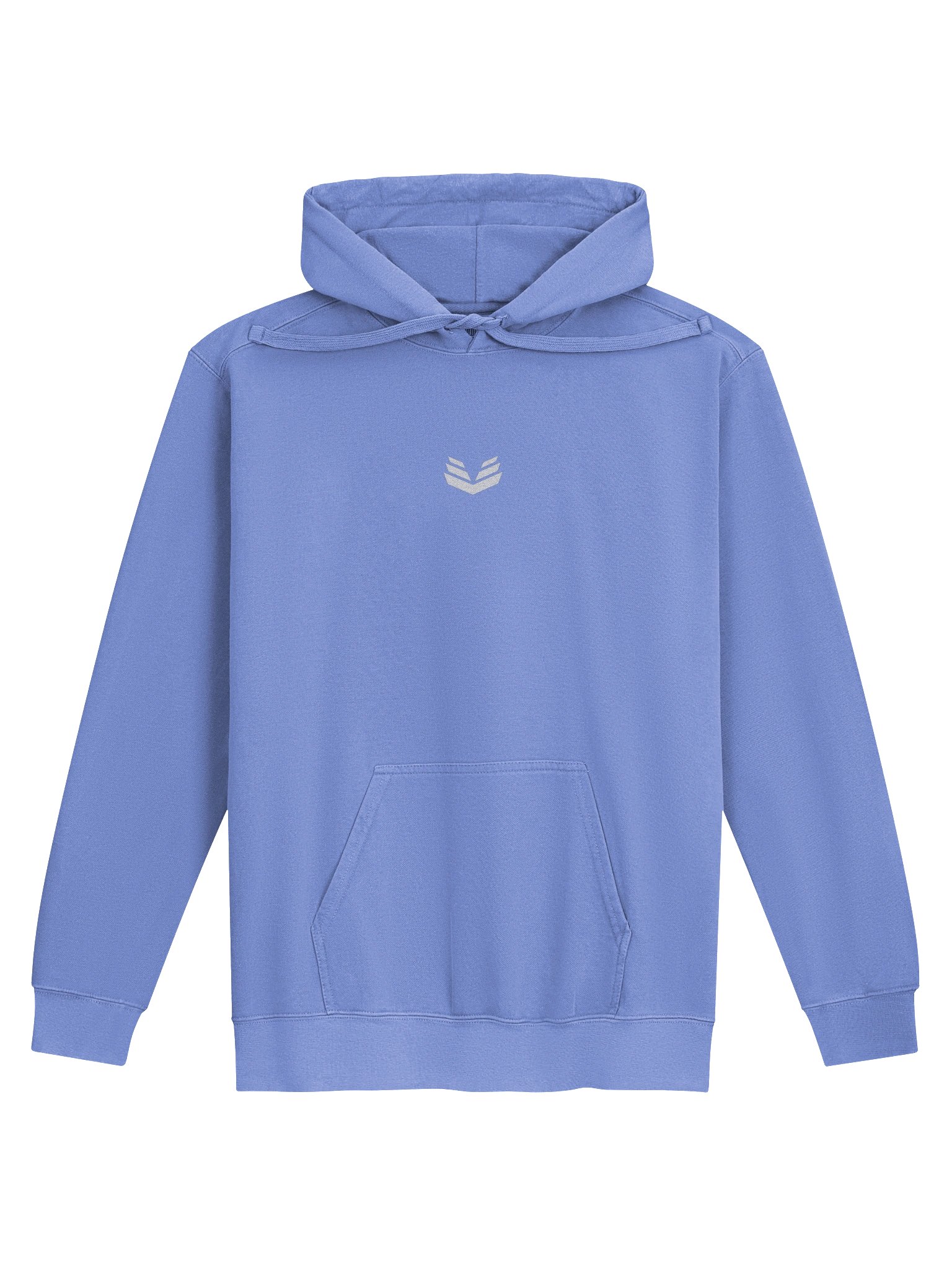 Icon Hoodie - Flo Blue product image (1)