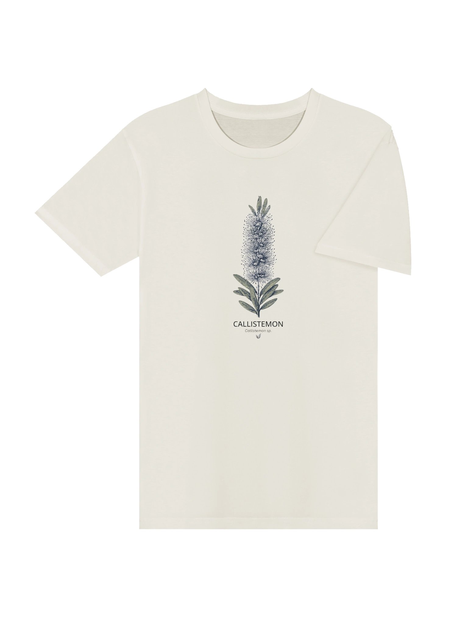 Callistemon Botanical Tshirt product image (4)