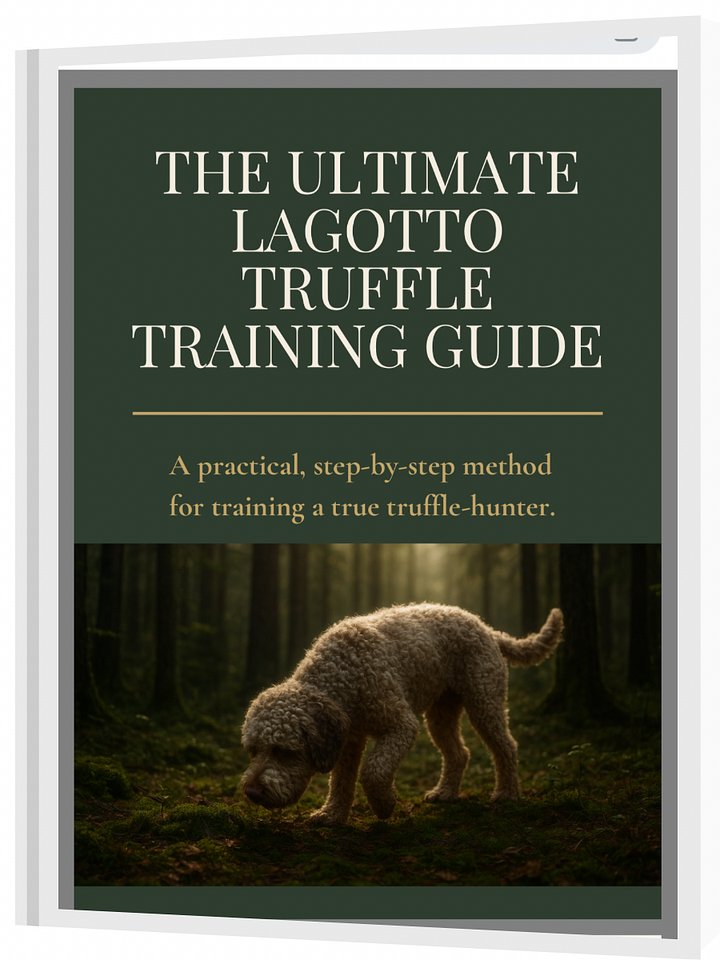 The Complete Truffle Training Guide for Lagotto Romagnolo product image (1)