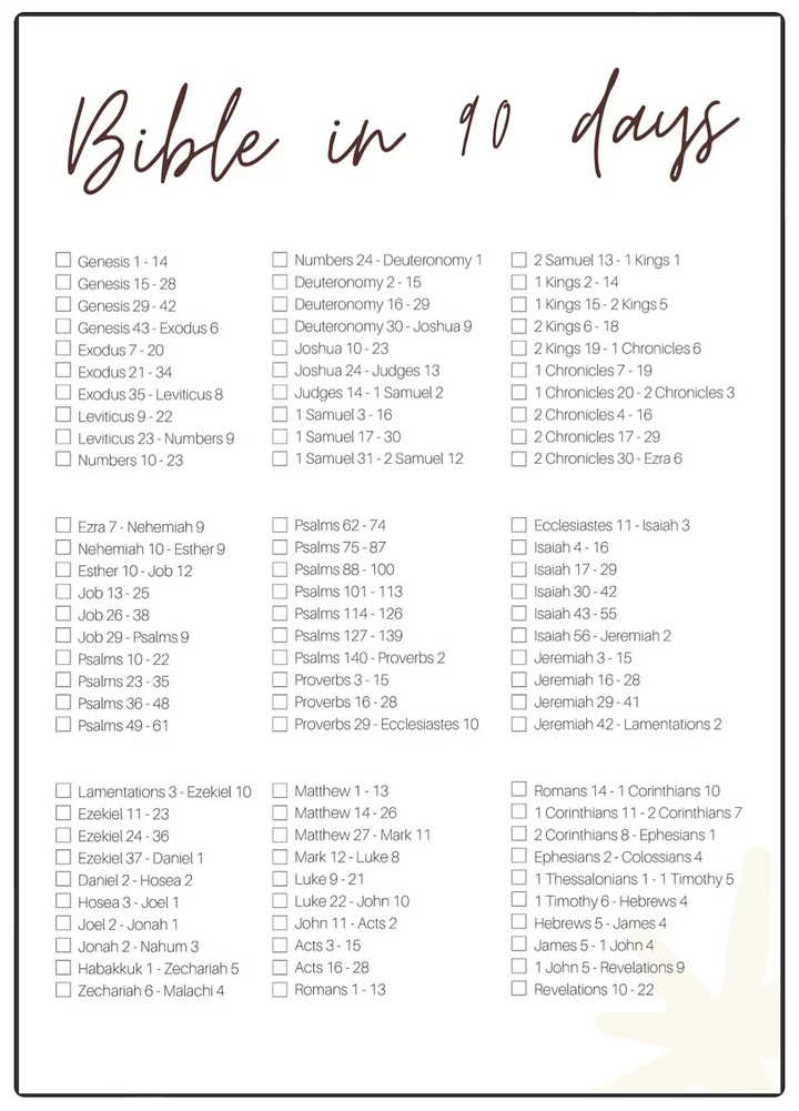 Bible in 90 Days product image (1)
