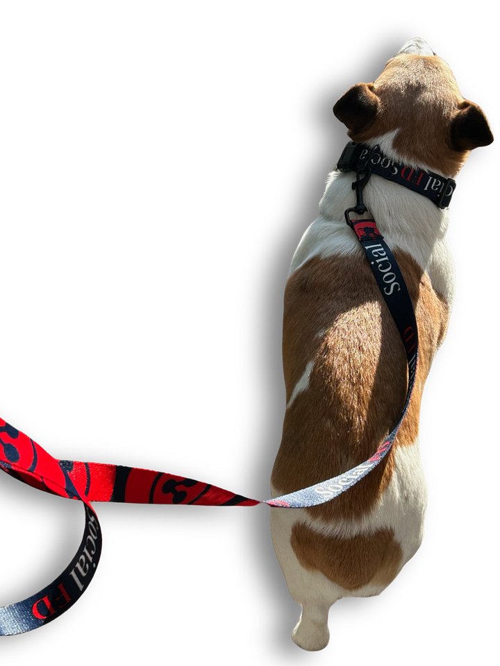 Social FD Leash product image (1)