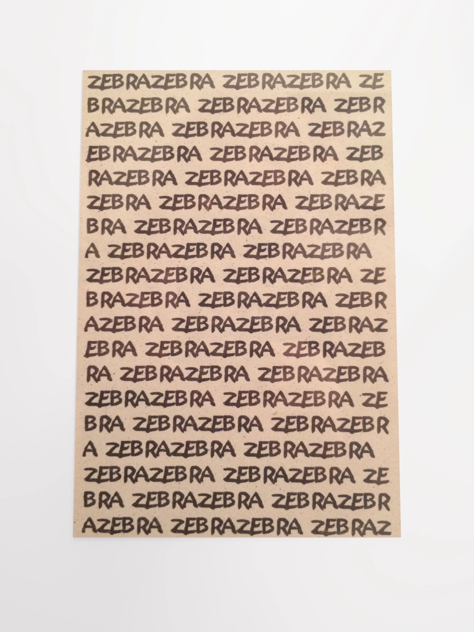 ZebraZebra Poster product image (1)