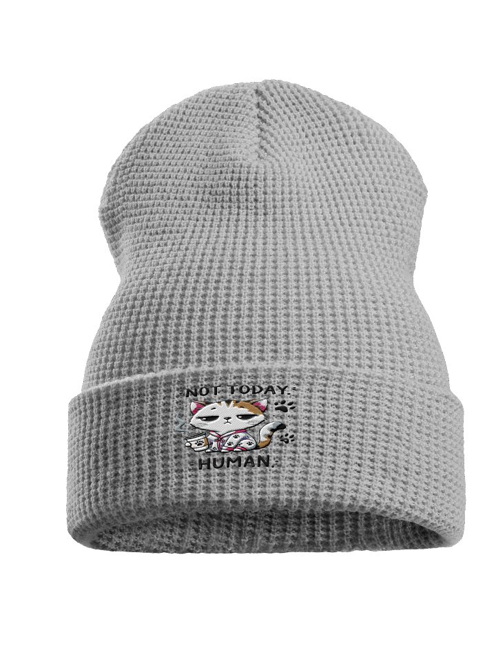 Light Grey Knitted Beanie Sarcastic Cat Coffee Quote – “Not Today Human” Cozy Winter Hat for Cat Lovers product image (1)