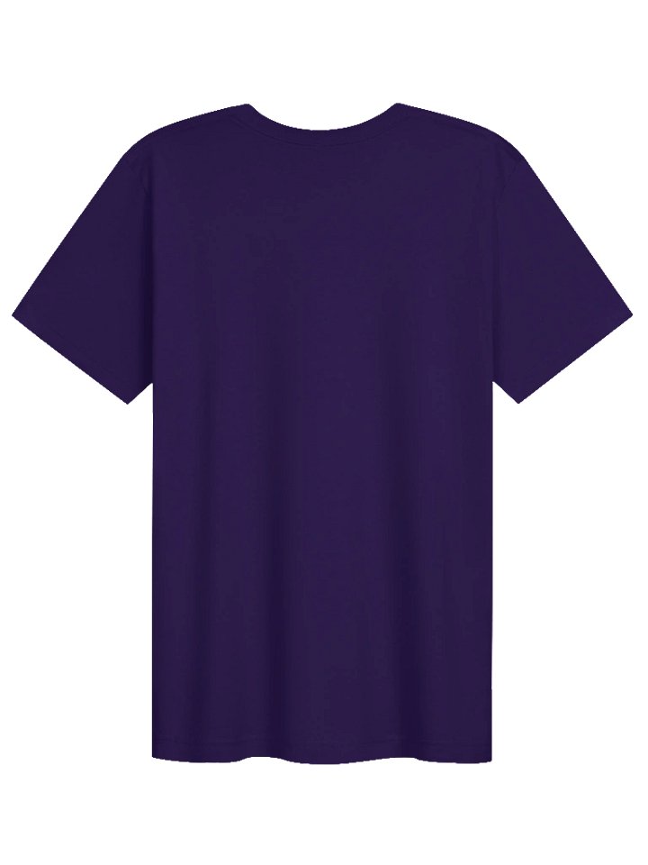"I'm only hear to hold the Frequency" Meme Shirt product image (62)