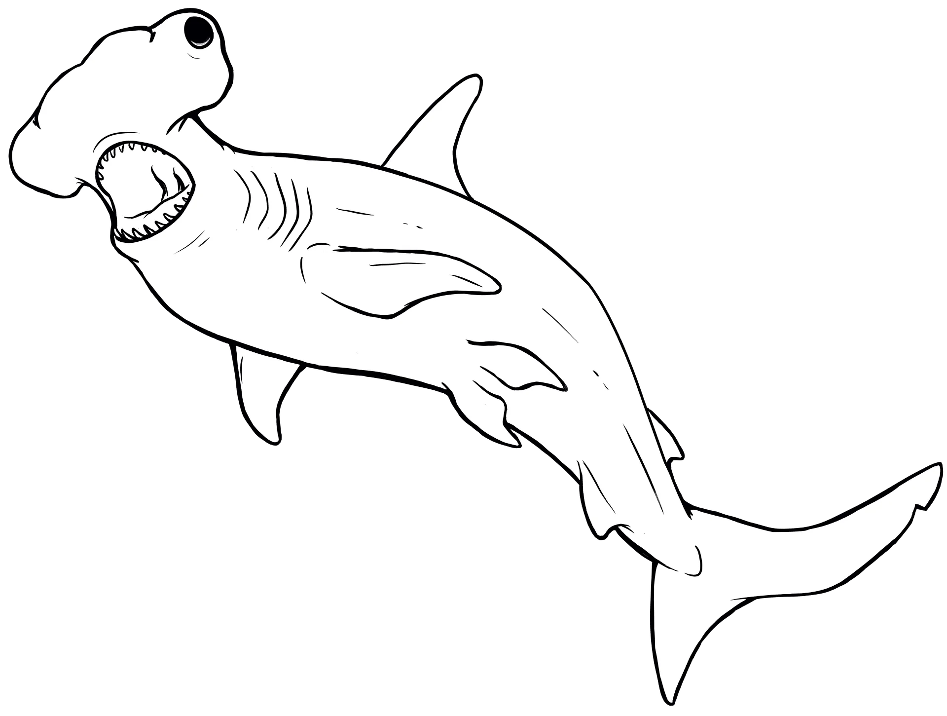 Hammerhead Coloring Pages product image (7)