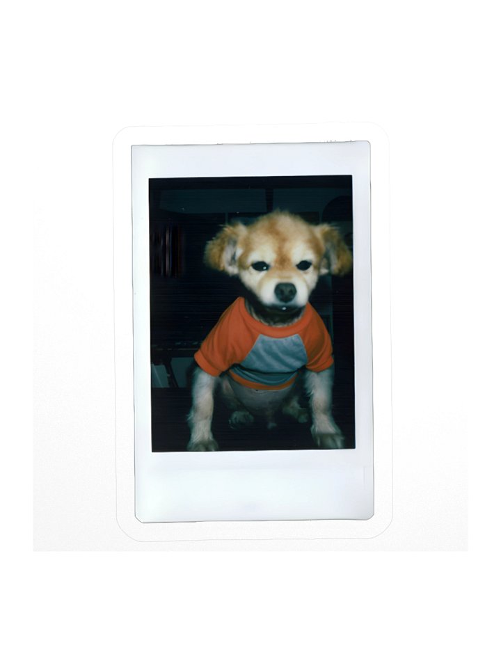 Polaroid A Sticker product image (1)