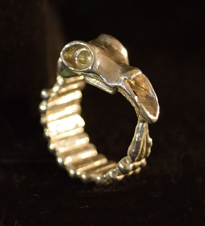 GHOST RING product image (1)