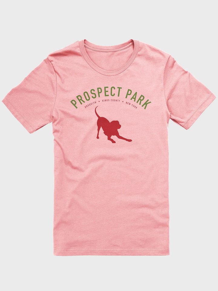 Prospect Park Pink Tee product image (1)