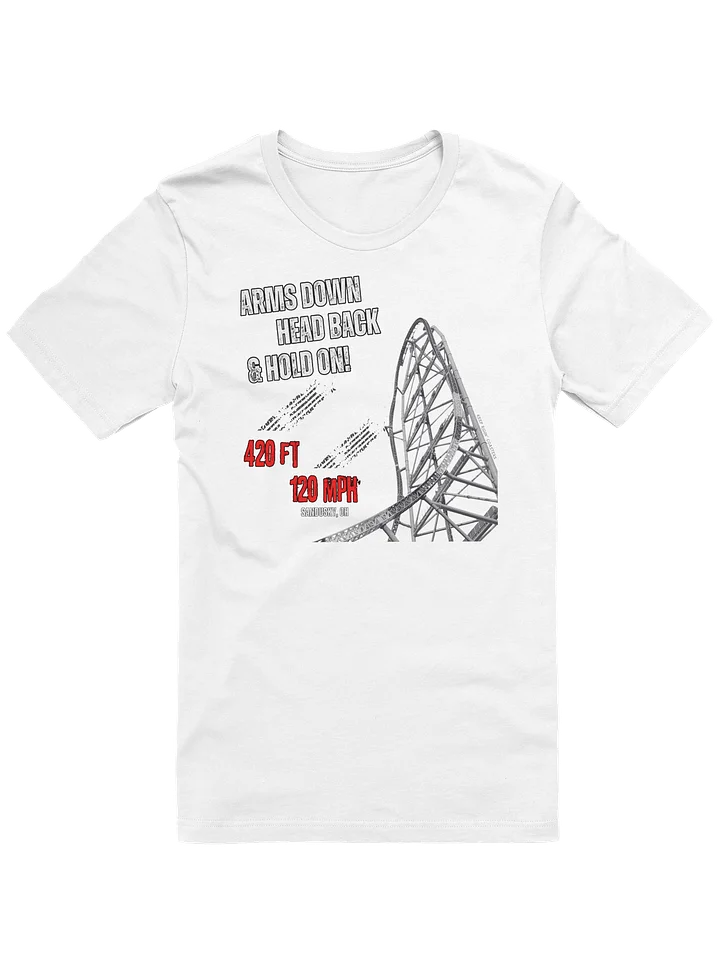 Arms Down, Head Back & Hold On - 420/120 Tee product image (3)