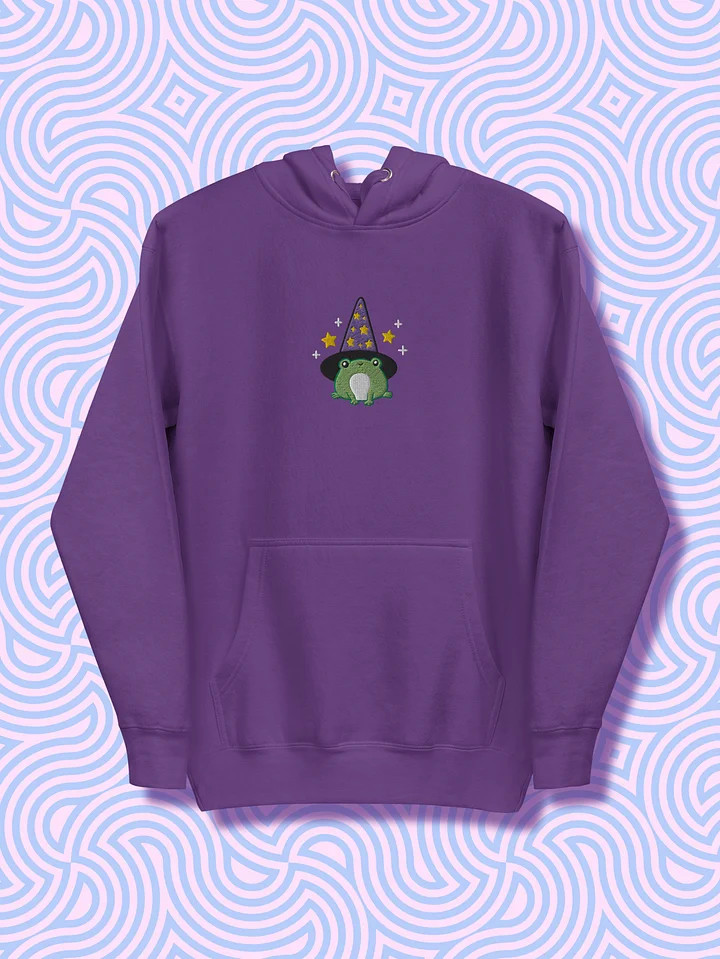 Enchanted Frog Wizard Embroidered Unisex Hoodie product image (2)