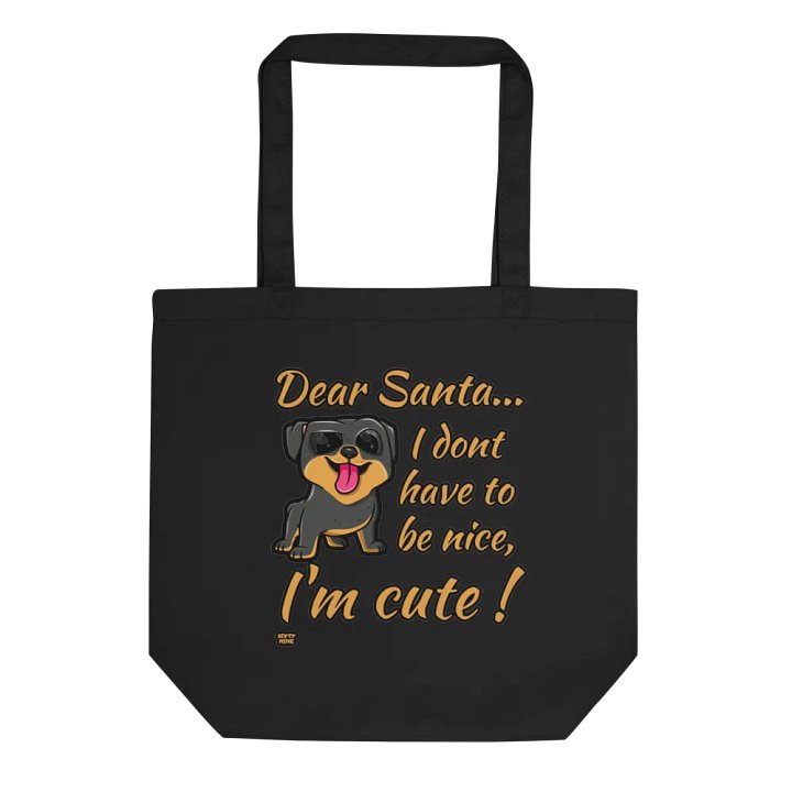 DEAR SANTA, I DON'T HAVE TO BE NICE, I'M CUTE! product image (1)