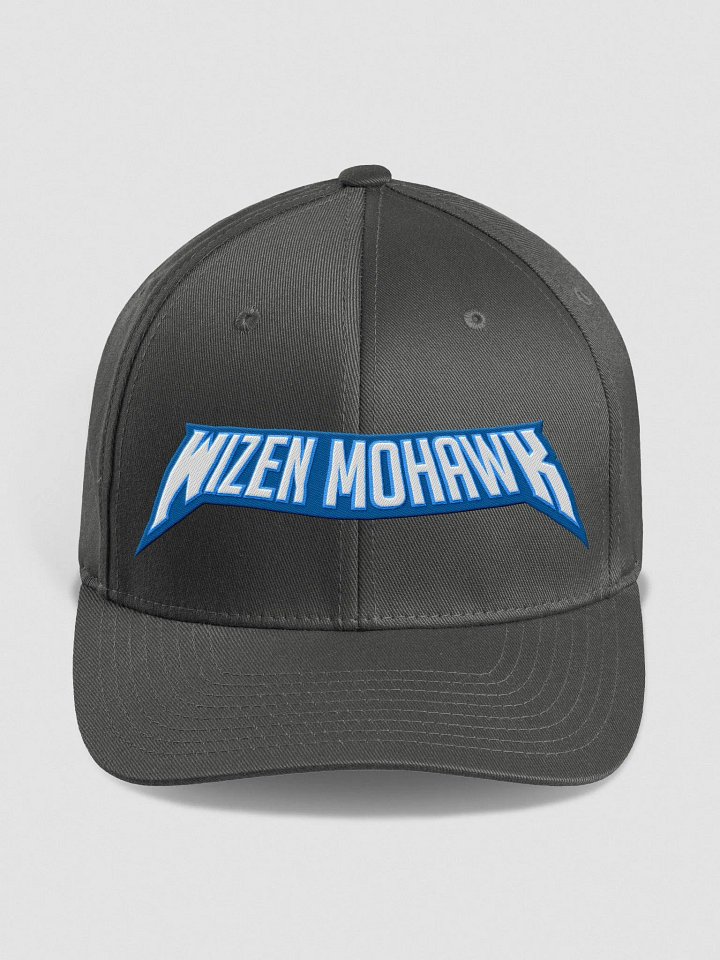 Fitted Hat (Dark Grey) product image (1)