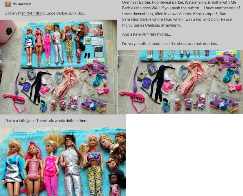 Fashion Doll Junk Box product image (4)