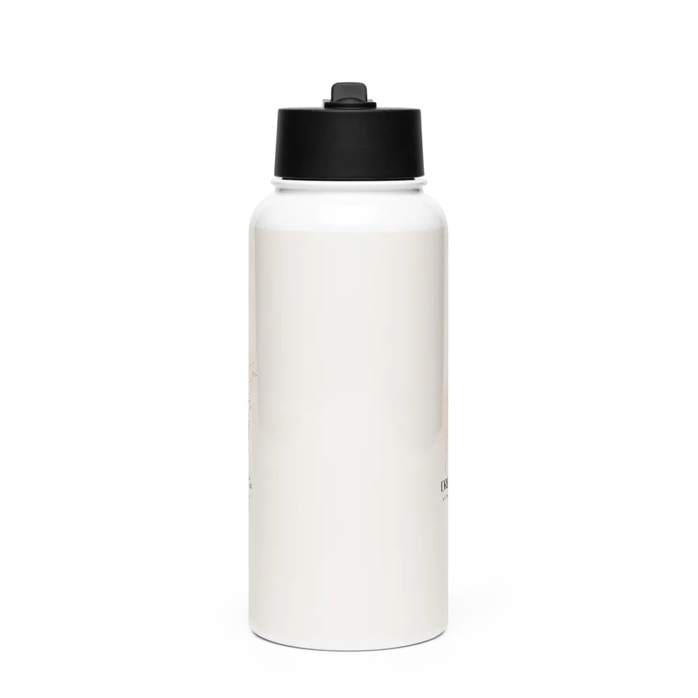 Stainless Steel Water Bottle with a Straw Lid SWFB0146 product image (3)