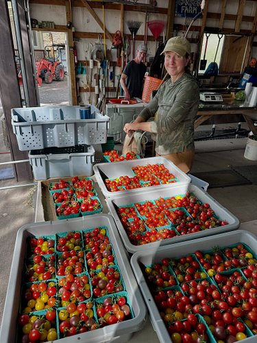 All ready for the Surprise Valley Farmers Market, Saturday Aug 22, 9-noon. See you there!