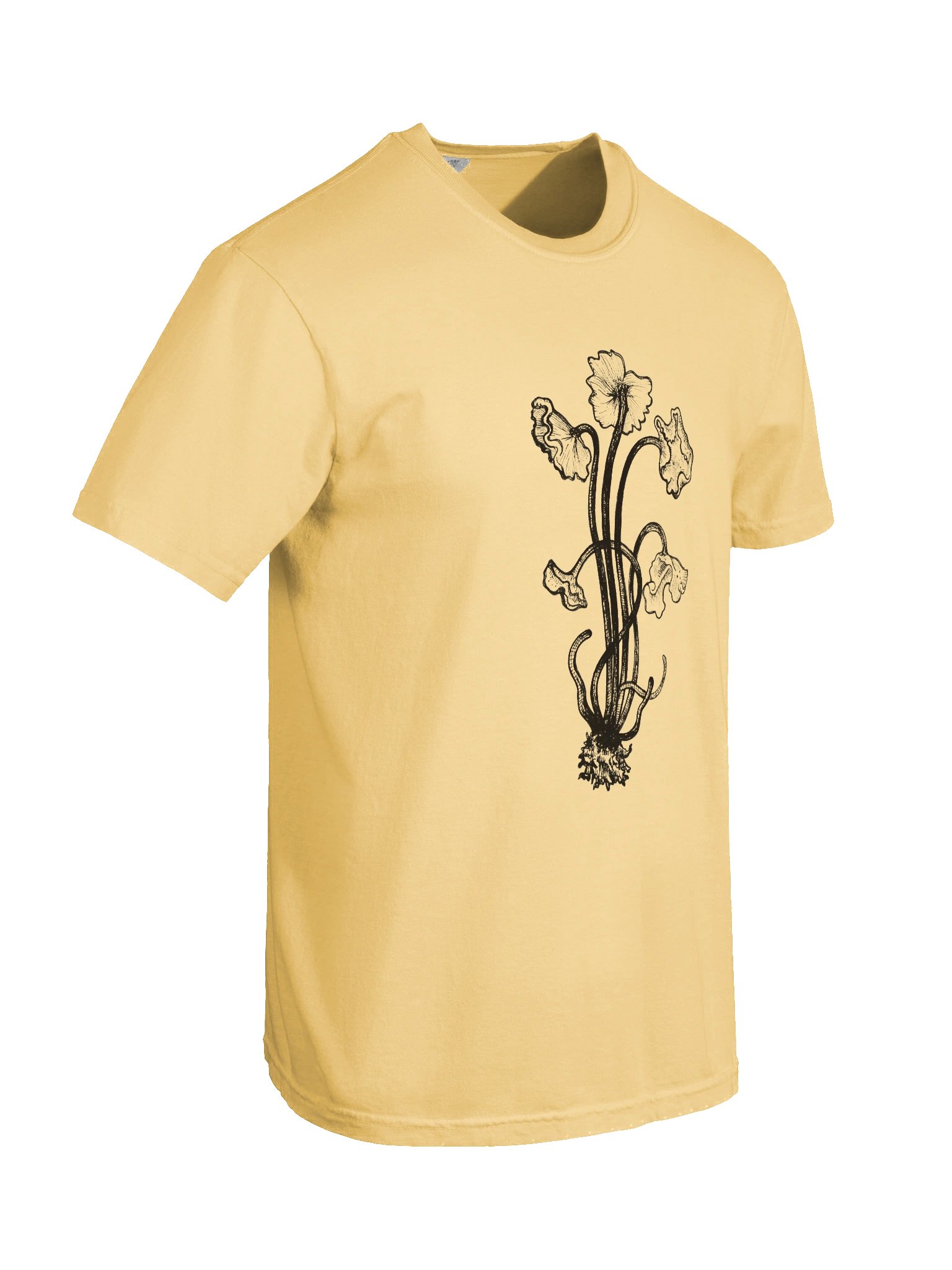 Brown Chanterelle - Print product image (48)