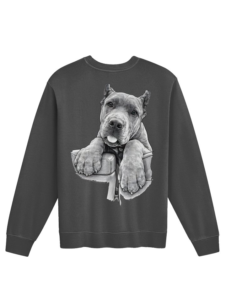 Vintage Corso Culture Pigment Dyed Sweatshirt product image (9)