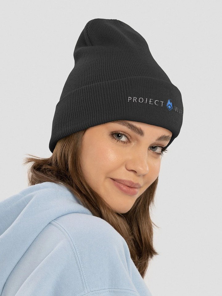 Basic Logo Beanie product image (1)