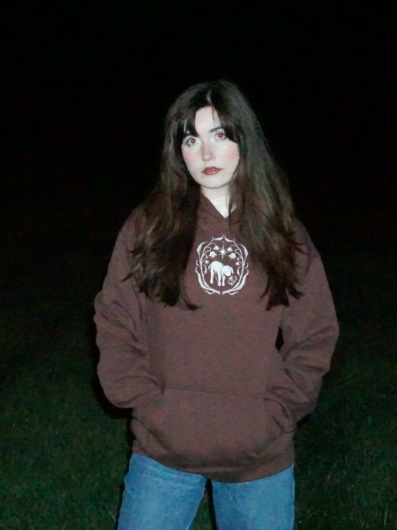 Starbells Hoodie product image (1)