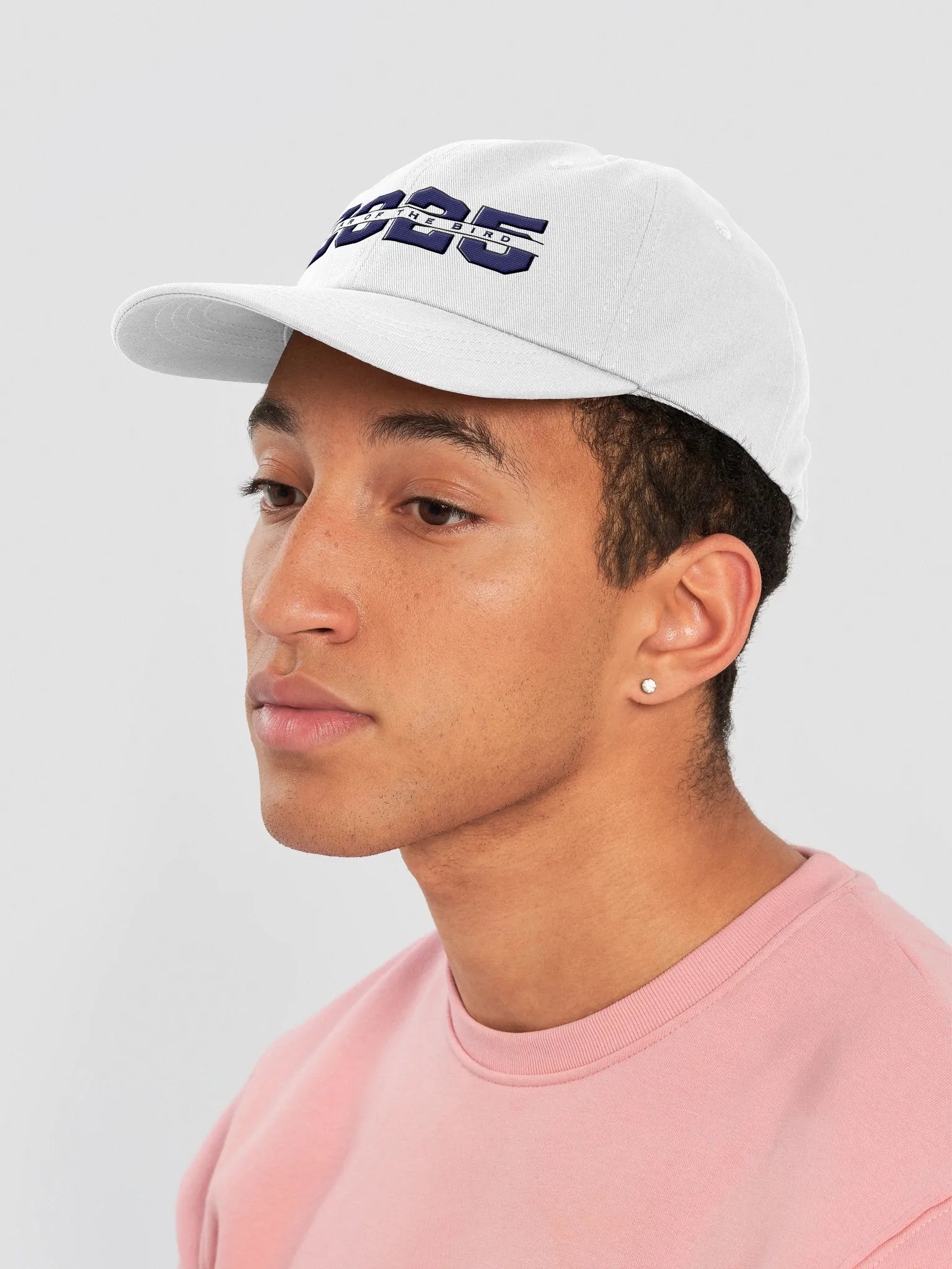 Navy "Year of the Bird" Cap product image (5)