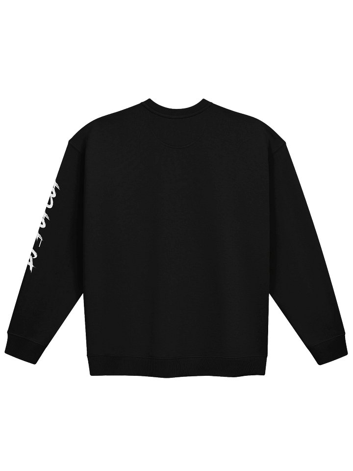 AP-PAWZ-E - LONGSLEEVE product image (2)