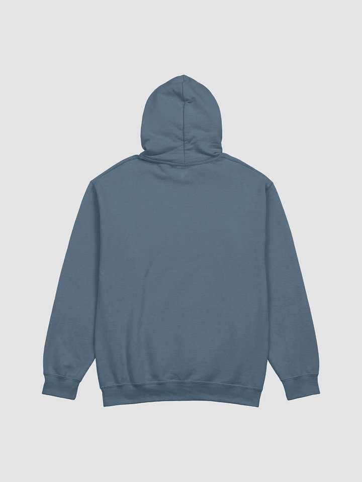 Deliver mail like a girl UNISEX hoodie product image (11)
