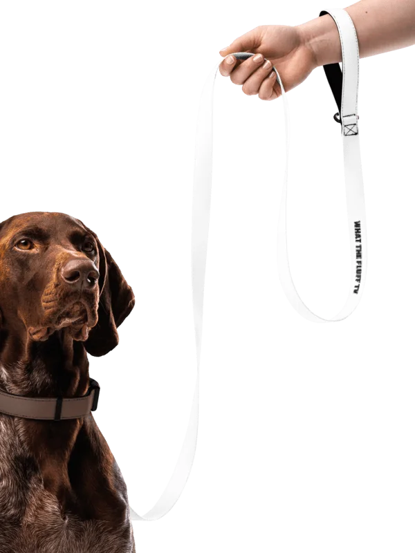 What The Fluff Pet Leash (Combine with WTF! Collar) product image (2)