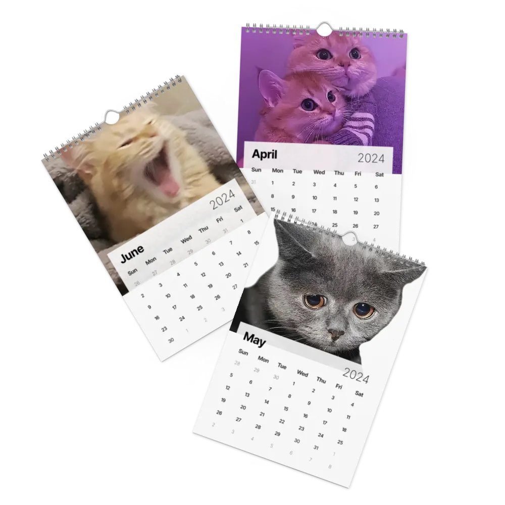 Wall Calendar (2024): Meme Cats product image (3)