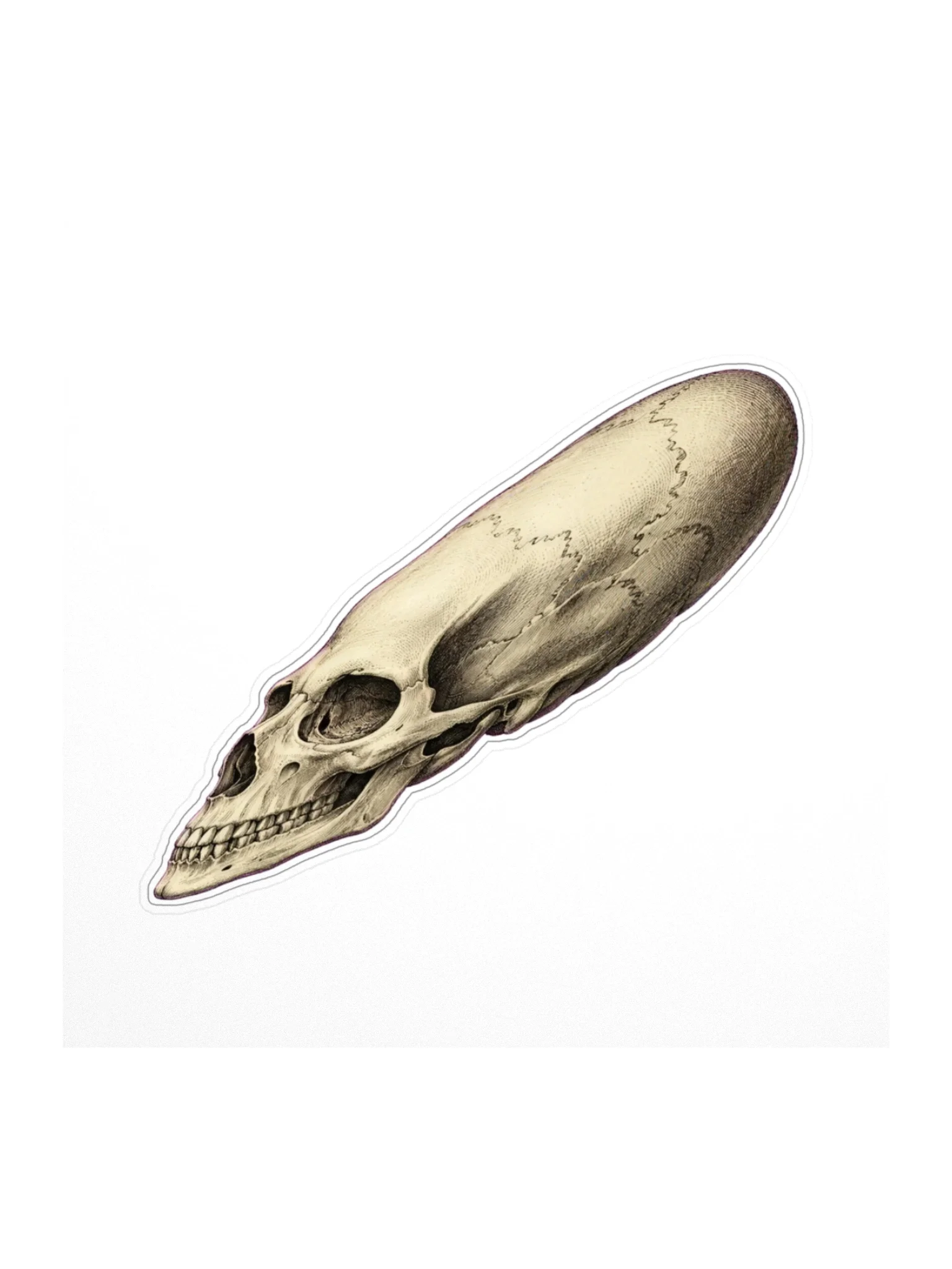 Anamorphic Skull Sticker, White