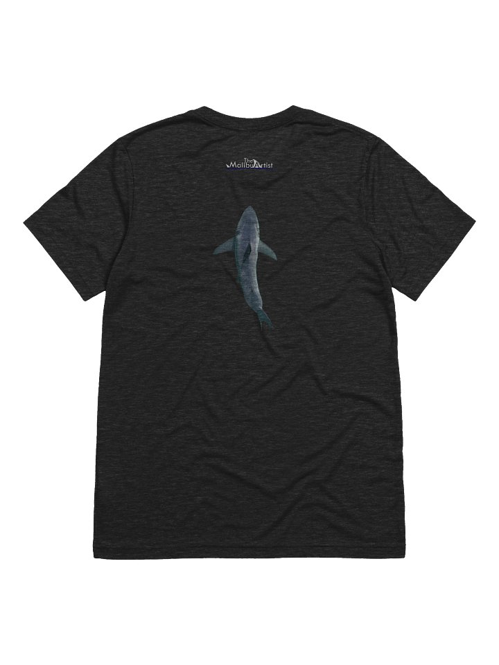 Carcharodon carcharias. product image (2)
