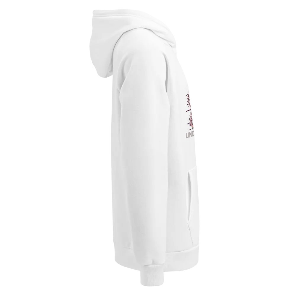 Under Armour® Unisex Hoodie - Cozy Comfort for All product image (3)