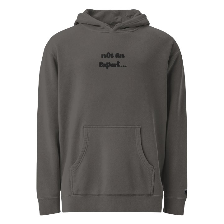 Stealth "not an expert..." Official Heavy Weight Hoodie product image (8)