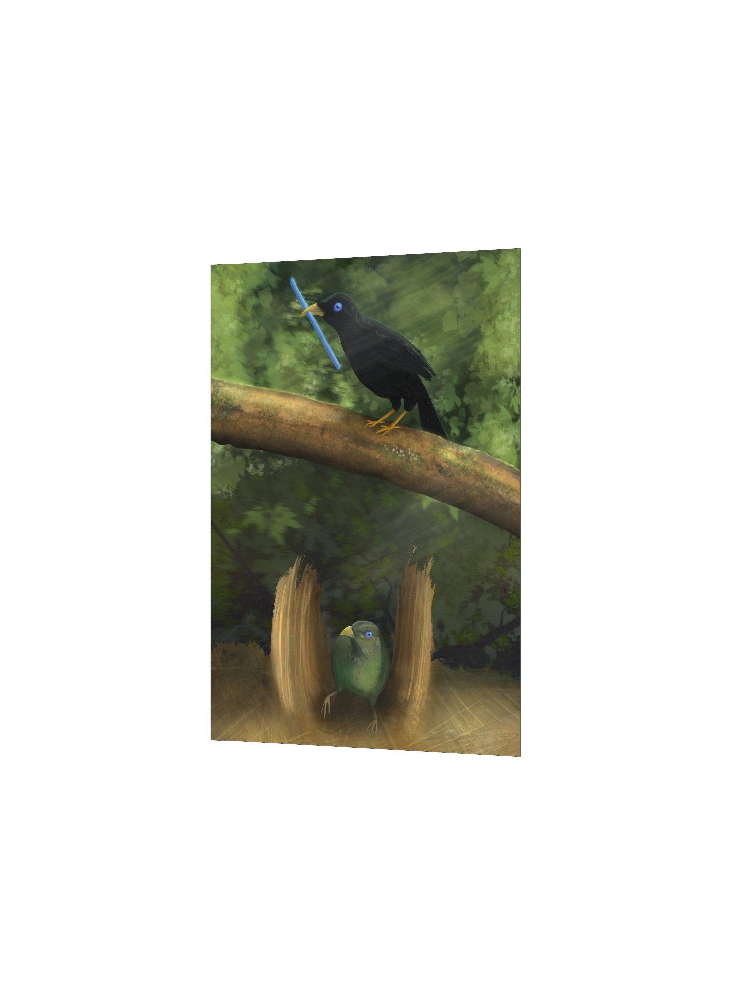 Serene Bowerbird Poster product image (4)
