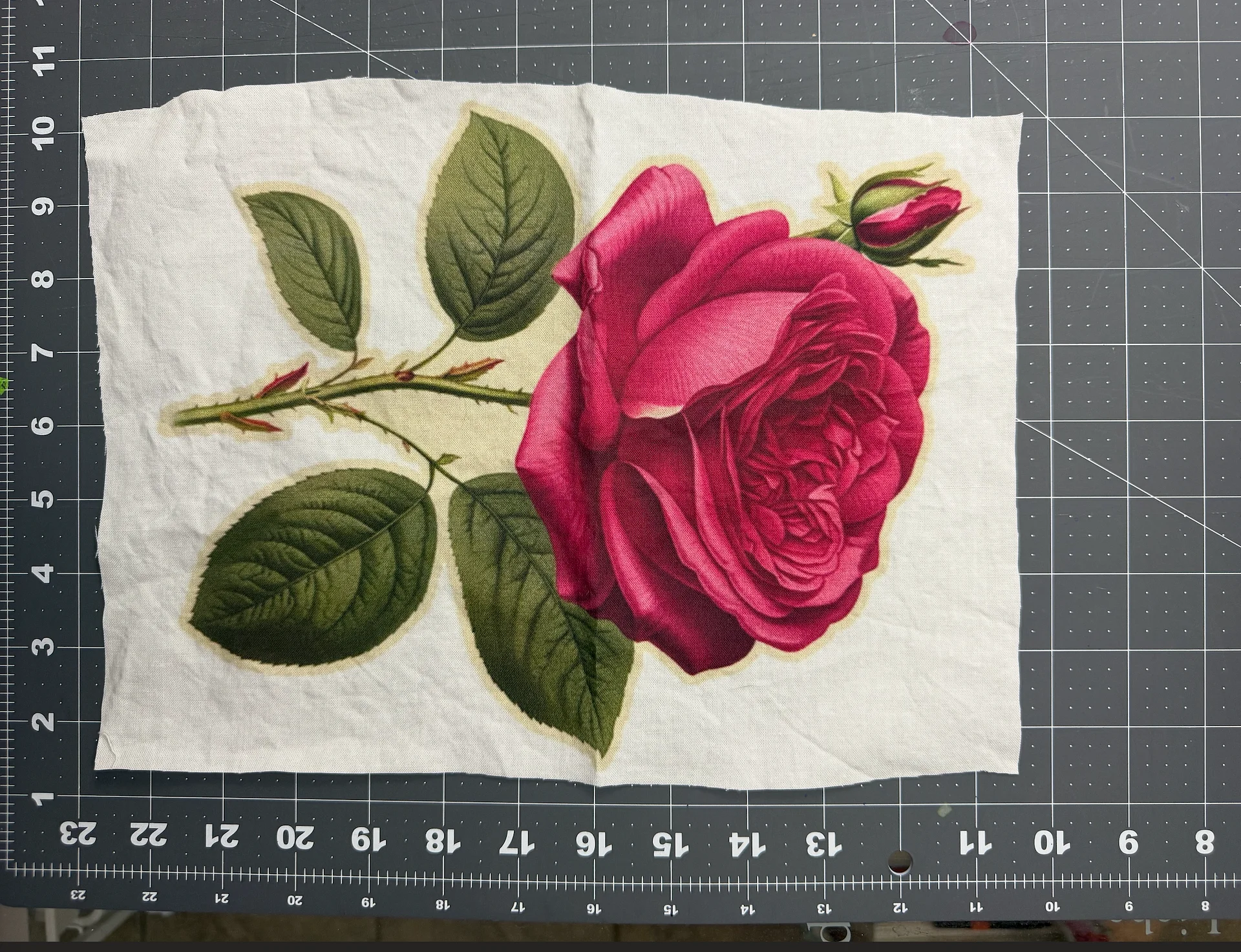 JUMBO ROSES product image (1)