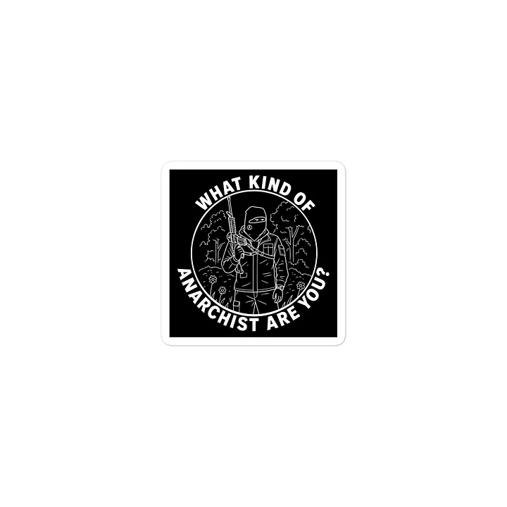 WHAT KIND OF ANARCHIST ARE YOU? product image (1)