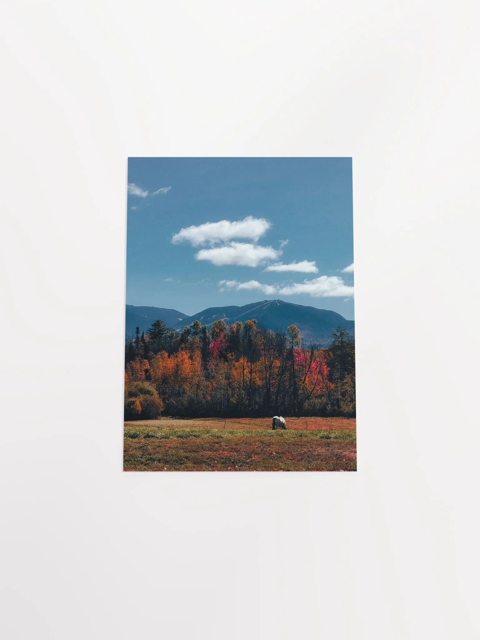 White Mountain Horse product image (5)